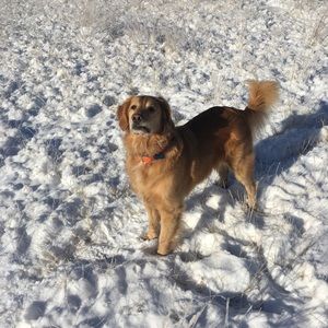 Meet your Posher, Rj